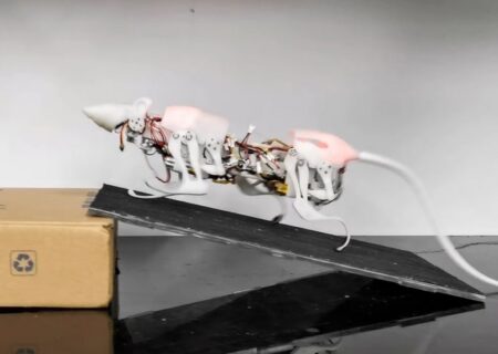 موش رباتیکی که می‌تواند نجات‌بخش باشد