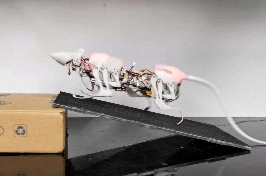 موش رباتیکی که می‌تواند نجات‌بخش باشد