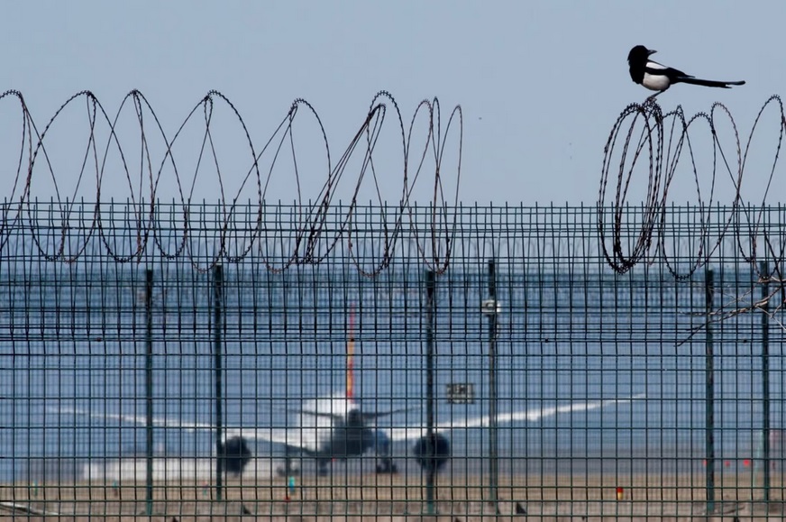 دانشمندان چینی برای محافظت از فرودگاه‌ها لیزر دفع پرنده می‌سازند