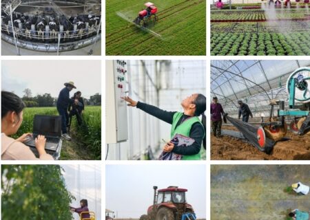 تلاش چین برای گسترش کشاورزی هوشمند