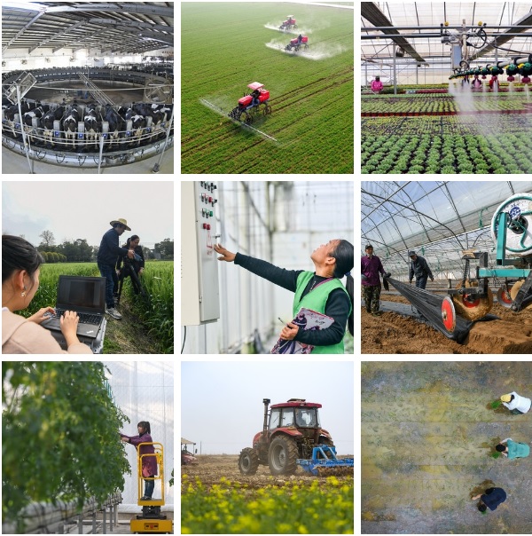 تلاش چین برای گسترش کشاورزی هوشمند