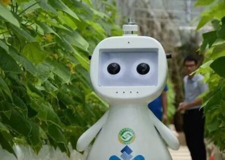 اولین ربات کشاورزی ۵G با هوش مصنوعی چین رونمایی شد