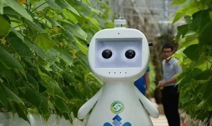 اولین ربات کشاورزی ۵G با هوش مصنوعی چین رونمایی شد