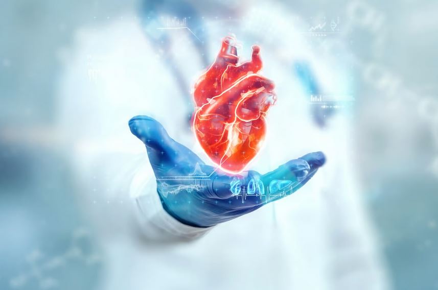ساخت هیدروژل دو وجهی برای ترمیم قلب بعد از سکته