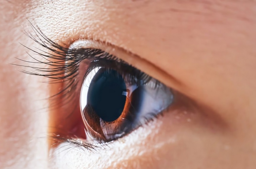 پیشرفتی شگرف در علم چشم پزشکی با ساخت قرنیه مصنوعی بومی