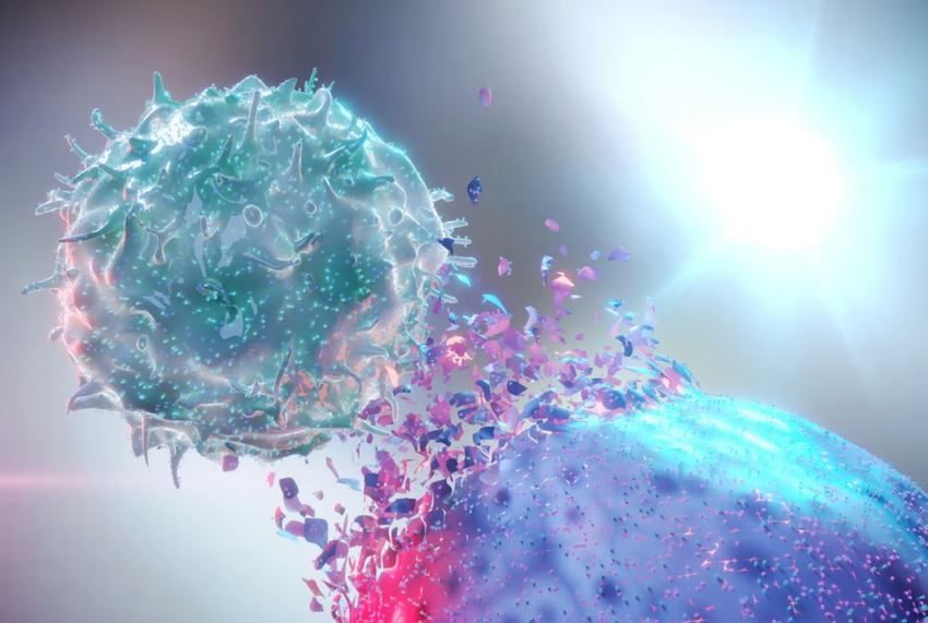 سیستم ایمنی و راهی برای بازگرداندن سلول‌های ضد سرطان بدن