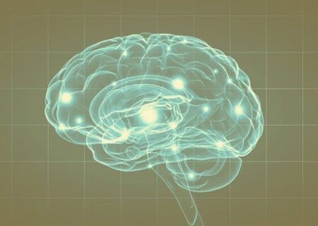 استفاده از ژن مغز انسان جهت بالا بردن مهارت‌های یادگیری و حافظه موش‌ها