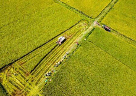 تلاش‌های چین برای بهبود میزان بهره برداری از زمین‌های کشاورزی