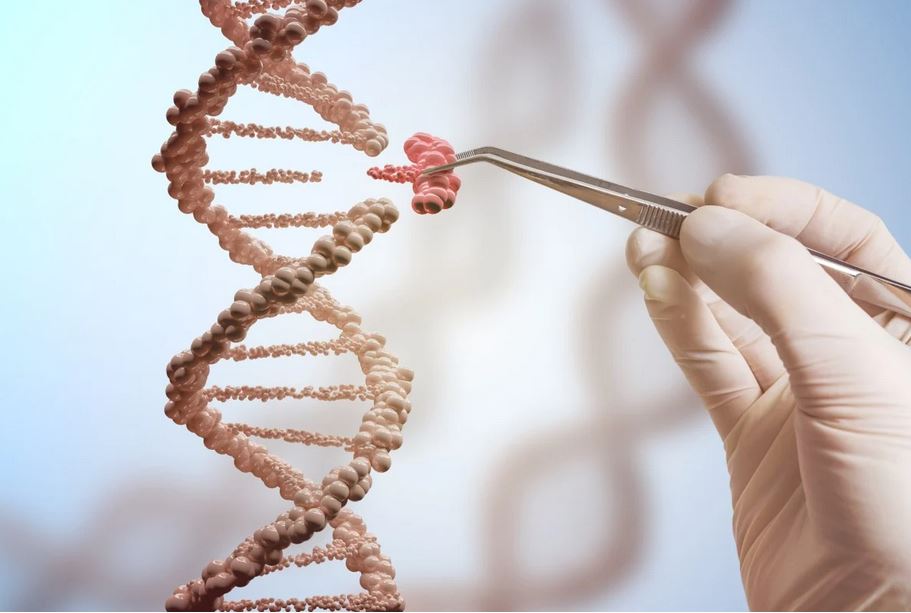 کشف ابزار جدیدی برای ویرایش ژن بدون استفاده از فناوری CRISPR