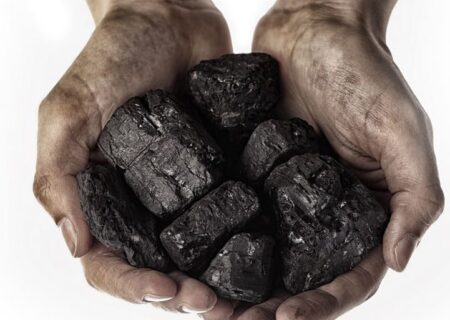 تبدیل زغال سنگ به پروتئین برای پاسخگویی به تقاضای خوراک دام