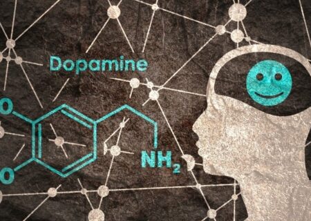 کشف ترکیبات ناقل دوپامین برای تجمع هورمون احساس خوب