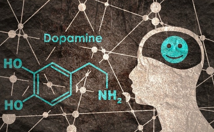 کشف ترکیبات ناقل دوپامین برای تجمع هورمون احساس خوب
