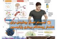 فصلنامه سلامت و کشاورزی چین – تابستان ۱۴۰۴