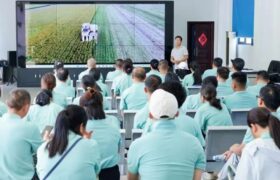 موفقیت شانگهای در کشاورزی فناورانه الگویی برای چین