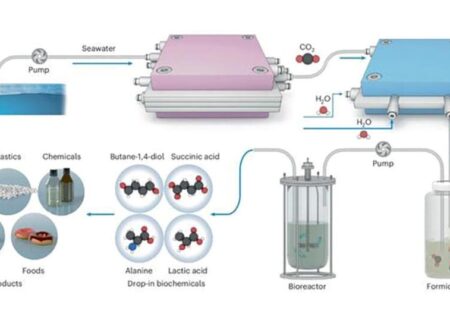 تبدیل دی‌اکسیدکربن محلول در آب دریا به مواد شیمیایی ارزشمند