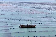 رشد ۵.۶ درصدی اقتصاد دریایی چین در ۹ ماه نخست سال