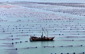 رشد ۵.۶ درصدی اقتصاد دریایی چین در ۹ ماه نخست سال