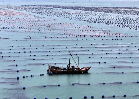 رشد ۵.۶ درصدی اقتصاد دریایی چین در ۹ ماه نخست سال