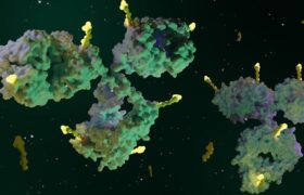 معرفی داروهای آنتی‌بادی ضد سرطان به‌عنوان نسل جدید درمان در چین