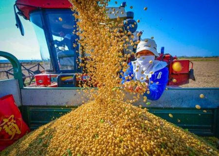 تحول بذرهای پیشرفته و کشاورزی هوشمند چین