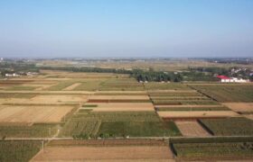 تقویت امنیت غذایی با بهره گیری کشاورزی چین از فناوری