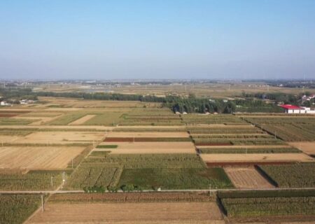 تقویت امنیت غذایی با بهره گیری کشاورزی چین از فناوری