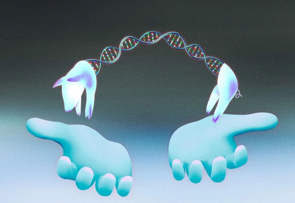 چین و گسترش مرزهای آزمایش بر حیوانات در رقابت جهانی زیست‌فناوری