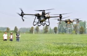 فناوری، کشاورزی چین را متحول می‌کند