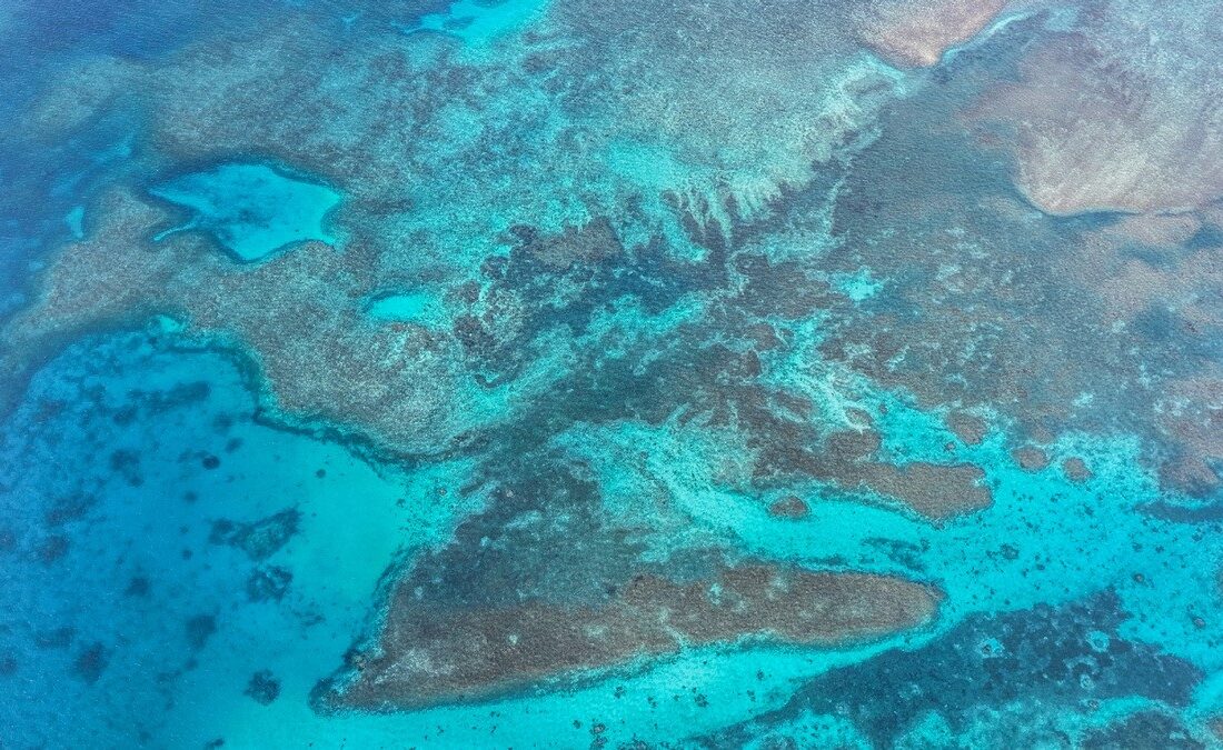 فرصت‌های سبز برای «اقتصاد آبی»