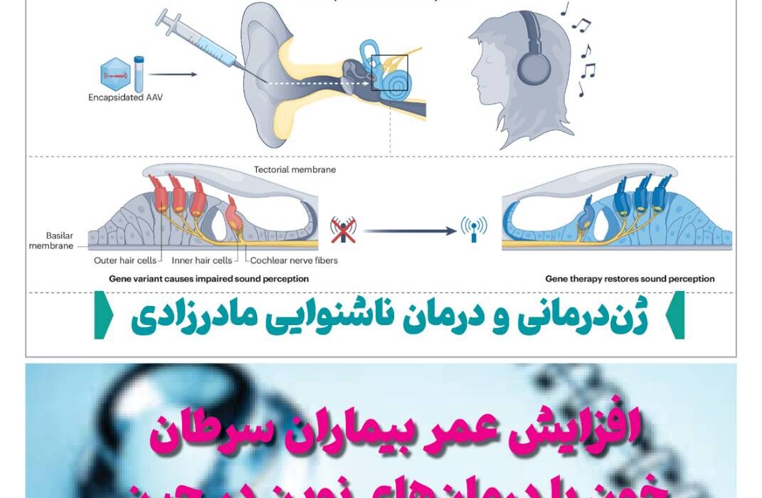 فصلنامه سلامت و کشاورزی چین – زمستان ۱۴۰۴