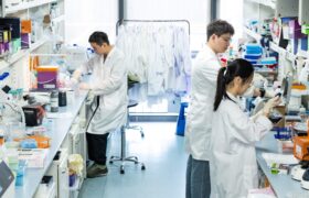 درمان بیماری نادر دیستروفی عضلانی دوشن با فناوری جدید ویرایش RNA