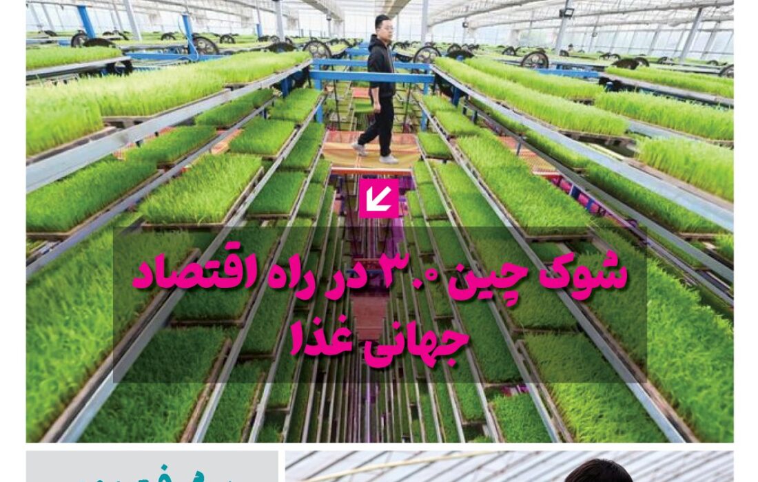 فصلنامه سلامت و کشاورزی چین – بهار 1405