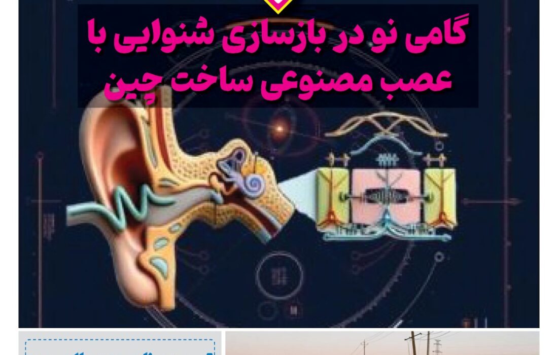 فصلنامه سلامت و کشاورزی چین – تابستان ۱۴۰۵